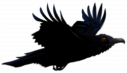 Raven PNG Transparent Images | PNG All