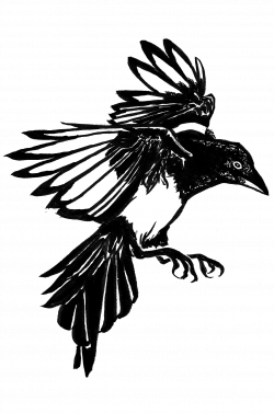 magpie-tattoo.png (1215×1834) | Ink and Body-Mods | Pinterest