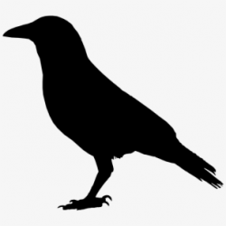 Crow Clipart Crow Head - Crow Head Vector #296383 - Free ...
