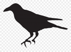 Crow Silhouette Png Clip Art Image - Crow Simple Clip Art ...
