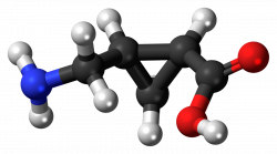 cis-2-Aminomethylcyclopropane carboxylic acid - Wikipedia
