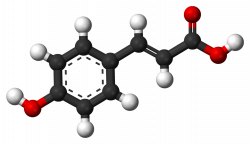 p-Coumaric acid - Wikiwand