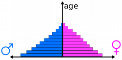 Demographic shifts: The population pyramid is over. What does that ...