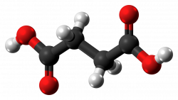 Succinic acid - Wikiwand