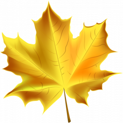 Yellow Autumn Leaf Transparent PNG | DECORATIVE ELEMENTS PNG AND JPG ...
