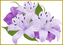 Appealing Purple Decorative Flowers Png Clipart Ogrod Picture Of ...