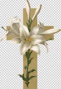 Easter Lily Christian Cross Flower Funeral PNG, Clipart ...
