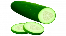 14 Cool Cucumber Free Vegetables Clipart - Fruit Names A-Z With Pictures