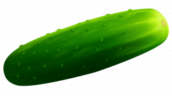 Pickled cucumber Vegetable Melon Clip art - cucumber 1280*720 ...