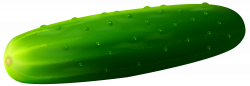 Cucumber PNG Clipart - Best WEB Clipart