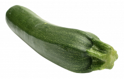 Zucchini PNG Image - PurePNG | Free transparent CC0 PNG Image Library