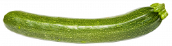 Zucchini PNG Image - PngPix