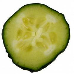 Cucumber Slice PNG by Bunny-with-Camera on DeviantArt