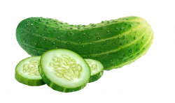 Cucumber PNG File - Clip Art Library