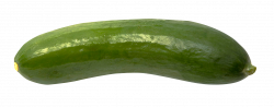 Cucumber PNG Transparent Cucumber.PNG Images. | PlusPNG