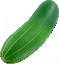 Cucumber PNG | Web Icons PNG