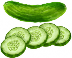 Cucumber Clipart & Look At Clip Art Images - ClipartLook