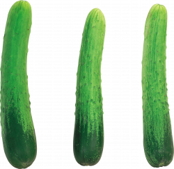 Cucumber PNG images free download