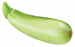 19 Zucchini clipart HUGE FREEBIE! Download for PowerPoint ...