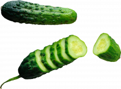 71 Best Cucumber Png - GraphicsFinder