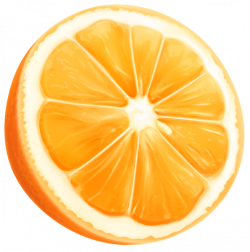 Orange Slice PNG Clip Art Image | Pintura em tecido frutas ...