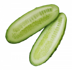 Cucumber Sliced png - Free PNG Images | TOPpng