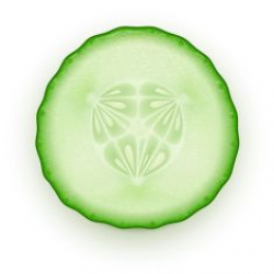 Cucumber slice vector art illustration | vegetables in 2019 ...
