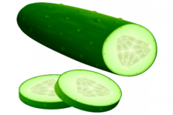 53+ Cucumber Clipart | ClipartLook