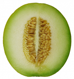 Winter Melon PNG Image - PurePNG | Free transparent CC0 PNG Image ...