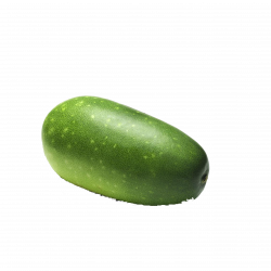 Cucumber Cantaloupe Wax gourd Melon Vegetable - Melon 2953*2953 ...