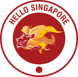 Hello Singapore | Private tours and small group tours of Singapore