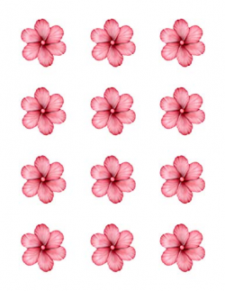 Amazon.com: Light Pink Hibiscus Flowers - Edible Image ...