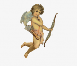 Cherub Angel Vintage - Cupid Cherub - Free Transparent PNG ...