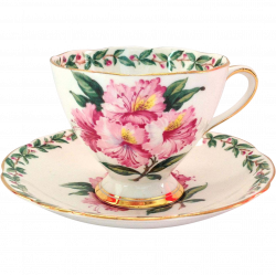 Gladstone Bone China Laurel Time Footed Teacup and Saucer Longton ...