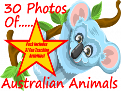 30 Photos and images of Australian animals PowerPoint Presentation + ...