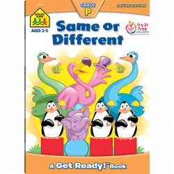 Same or Different Deluxe Edition Workbook Makes Learning Fun ...