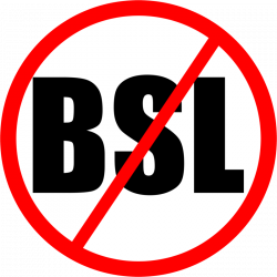 At The Rim: Thumbs down for a BSL GCSE...