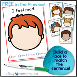 Social Emotional (SEL) Character Education Social Skills Curriculum