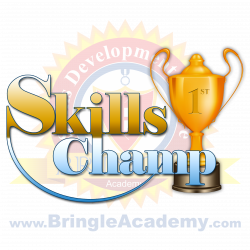 Skills Development, Mentoring, Career Coaching - BringleAcademy.com