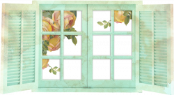 ForgetMeNot: Windows and flowers