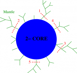 Schematic of giant component consisting of a mantle of trees and a ...
