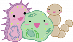cute bacteria clipart - OurClipart