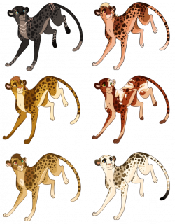 Cheetah Cub Clipart at GetDrawings.com | Free for personal use ...