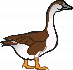 28+ Collection of Goose Clipart Png | High quality, free cliparts ...