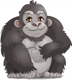 Western gorilla Ape Clip art - Cute gorilla 902*1000 transprent Png ...