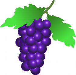 grapes | Cartoon Fruits and Vegetables | Pinterest | Food clipart ...