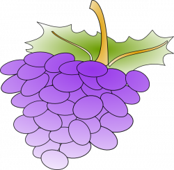 Grapes Clip Art at Clker.com - vector clip art online, royalty free ...
