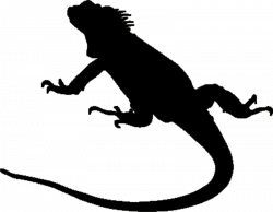 Iguana Silhouette at GetDrawings.com | Free for personal use Iguana ...