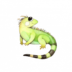 Green iguana Lizard Drawing Illustration - Cute chameleon 602*601 ...