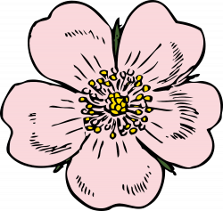Wild Rose Clip Art. Would be cute for label on homemade rose water ...